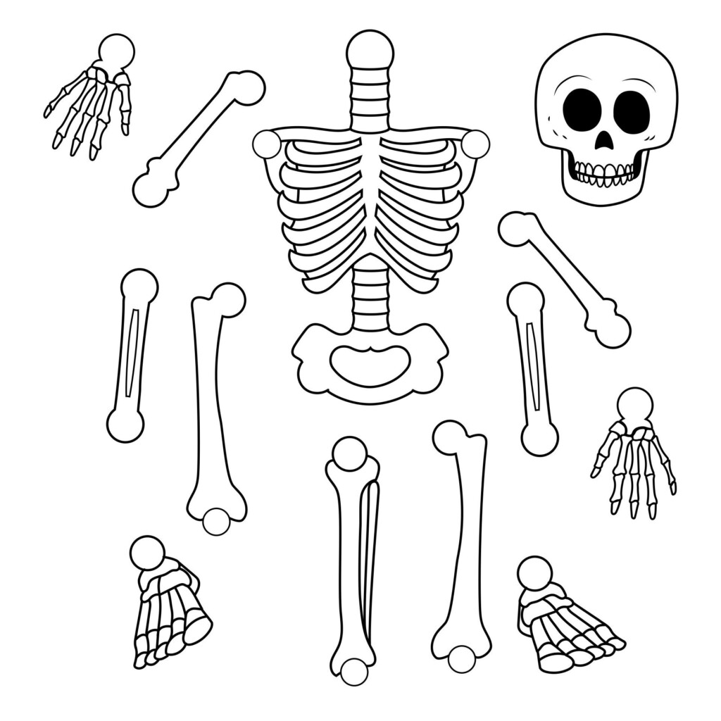 10 Best Large Printable Skeleton Template Skeleton Template Skeleton 