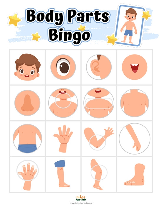 15 Body Parts Activities For Preschoolers Free Printables 