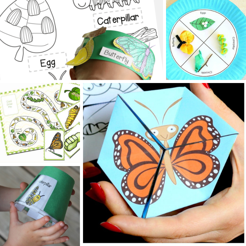 15 Free Life Cycle Of A Butterfly Printables Fun A Day 