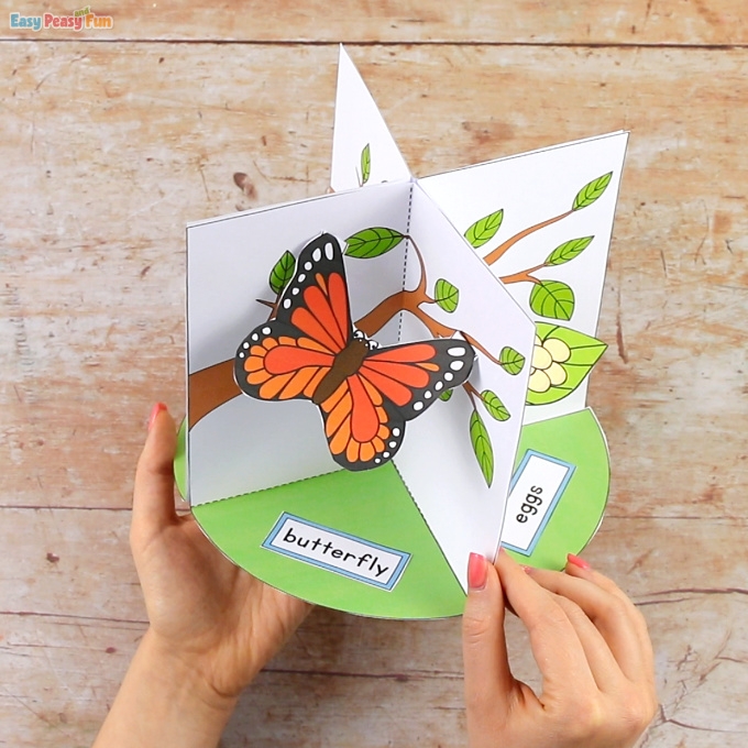3D Butterfly Life Cycle Craft Easy Peasy And Fun