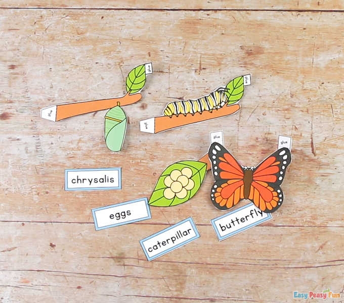 3D Butterfly Life Cycle Craft Easy Peasy And Fun