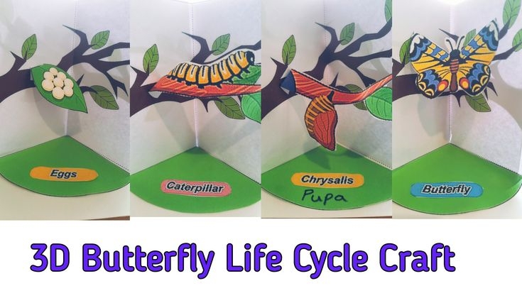 3D Butterfly Life Cycle Craft With Free Printable In 2022 Butterfly 