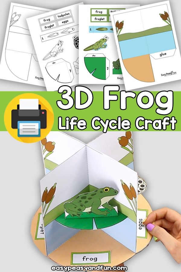 3D Life Cycle Of A Frog Craft Frog Life Cycle Printable Lifecycle Of