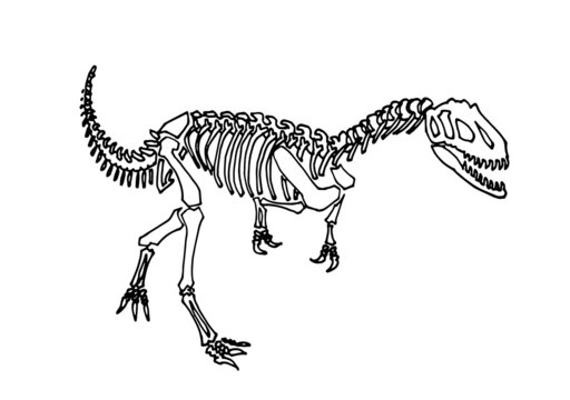 Albertosaurus Fossil