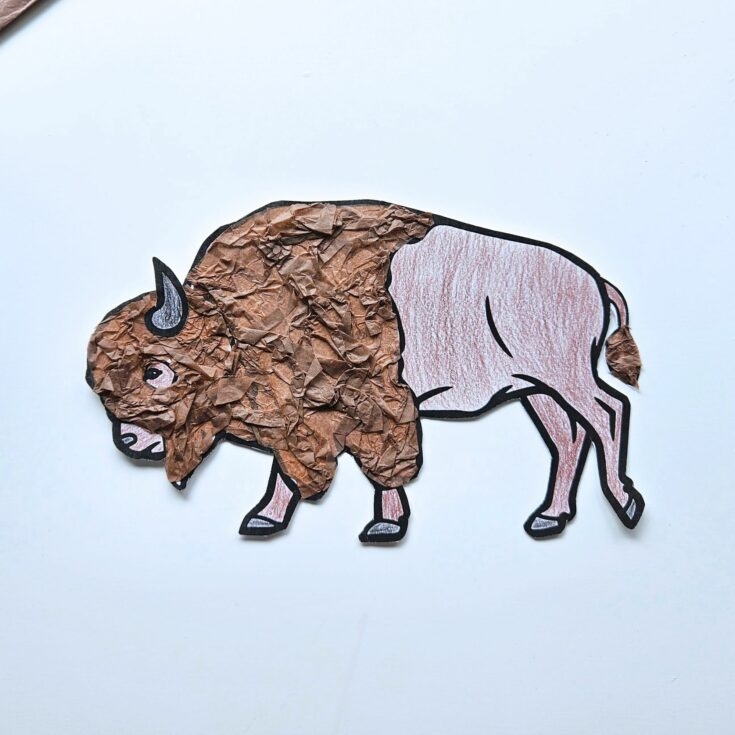 American Bison Tissue Paper Craft For Kids Raise Curious Kids