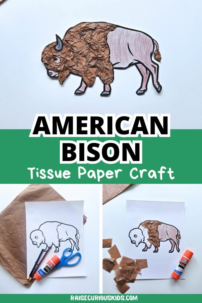 American Bison Tissue Paper Craft For Kids Raise Curious Kids