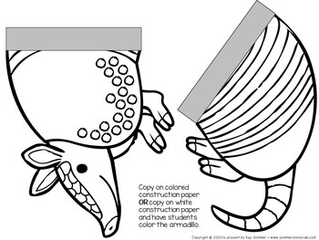 Armadillo Craft EDITABLE By Kay Sommer Teachers Pay Teachers
