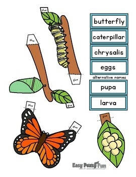 Butterfly Life Cycle Craft 3D Diorama Craft Activity By Easy Peasy 