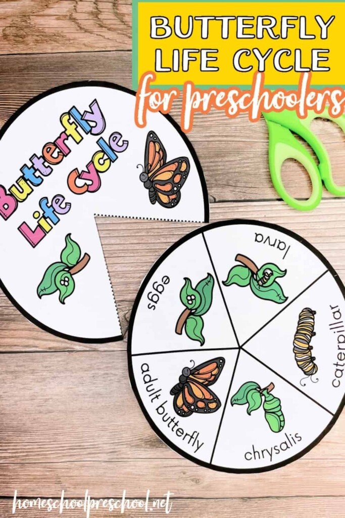 Butterfly Life Cycle Craft Free Printable Printable Free Templates