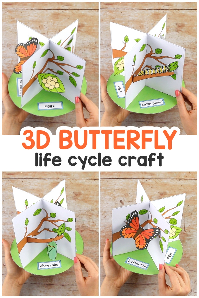 Butterfly Life Cycle Craft Free Printable Printable Free Templates