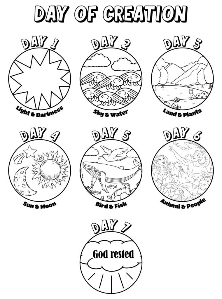 Days Of Creation 13 Free PDF Printables Printablee Bible 