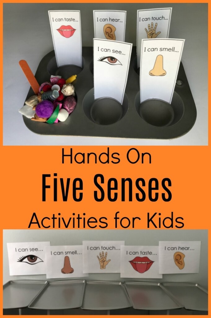 Five Senses Activities For Preschool Free Printables Free Printable 