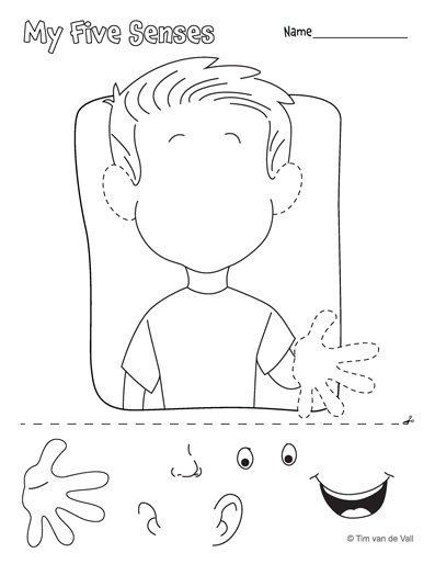 Five Senses Craft Tim 39 s Printables