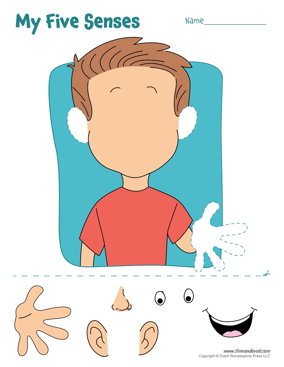 Five senses craft Tim 39 s Printables