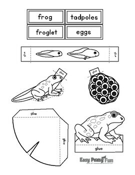 Frog Life Cycle Craft 3D Diorama Craft Activity By Easy Peasy And Fun