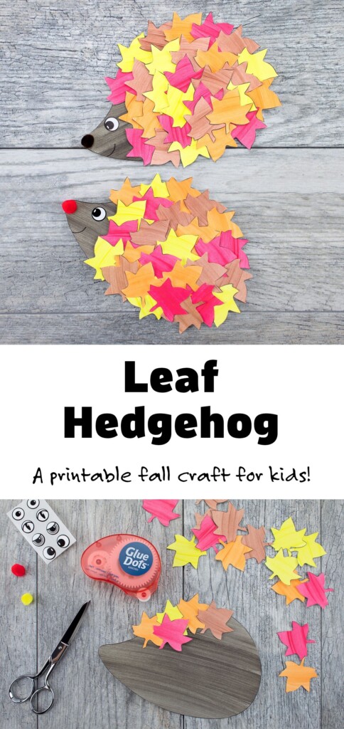 Just In Time For Autumn Learn How To Make The Cutest Fall Hedgehog 