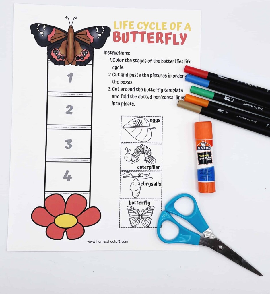 Life Cycle Of A Butterfly Worksheets 7 Free Printables 