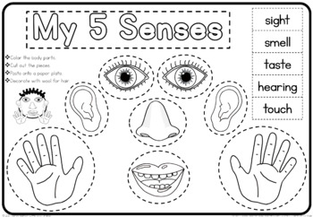 My 5 Senses Craft By Little Blue Orange TPT