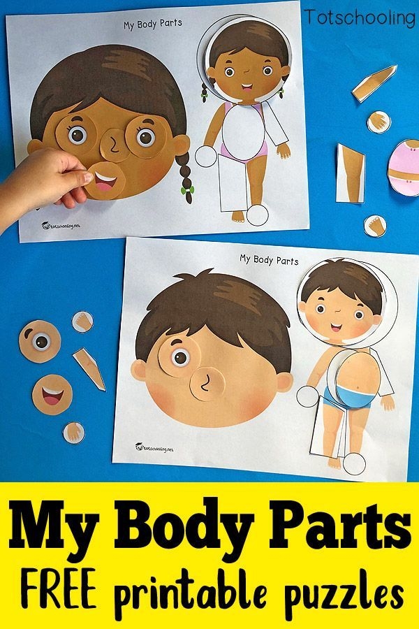 My Body Parts Printable Puzzles Body Parts Preschool Body 