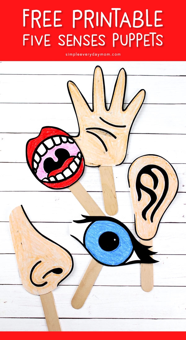 Printable 5 Senses Art And Craft Activities