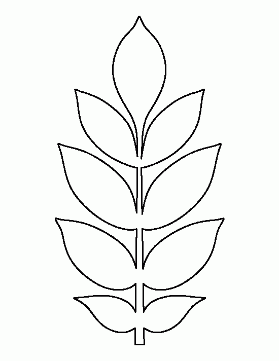 Printable Ash Leaf Template Large Paper Flowers Paper Flower 