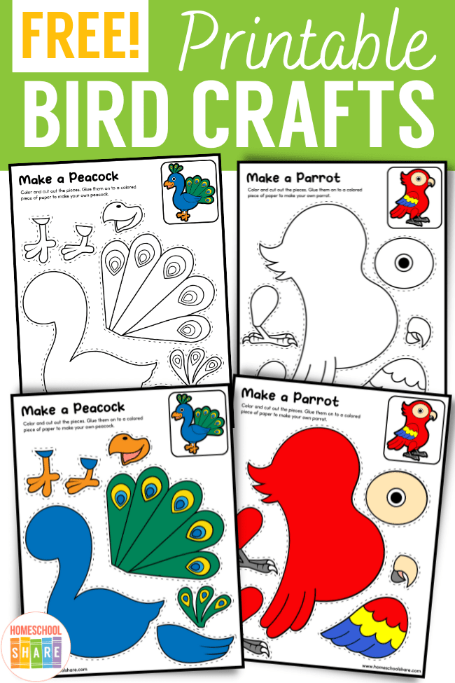 Printable Bird Crafts Homeschool Share
