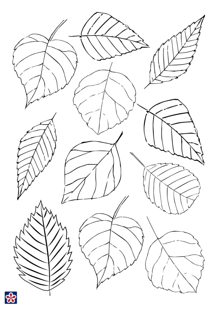 Printable Fall Craft Templates