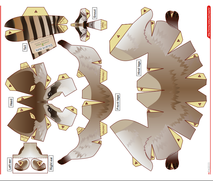 Racoon Template Paper Models Papercraft Templates Paper Animals
