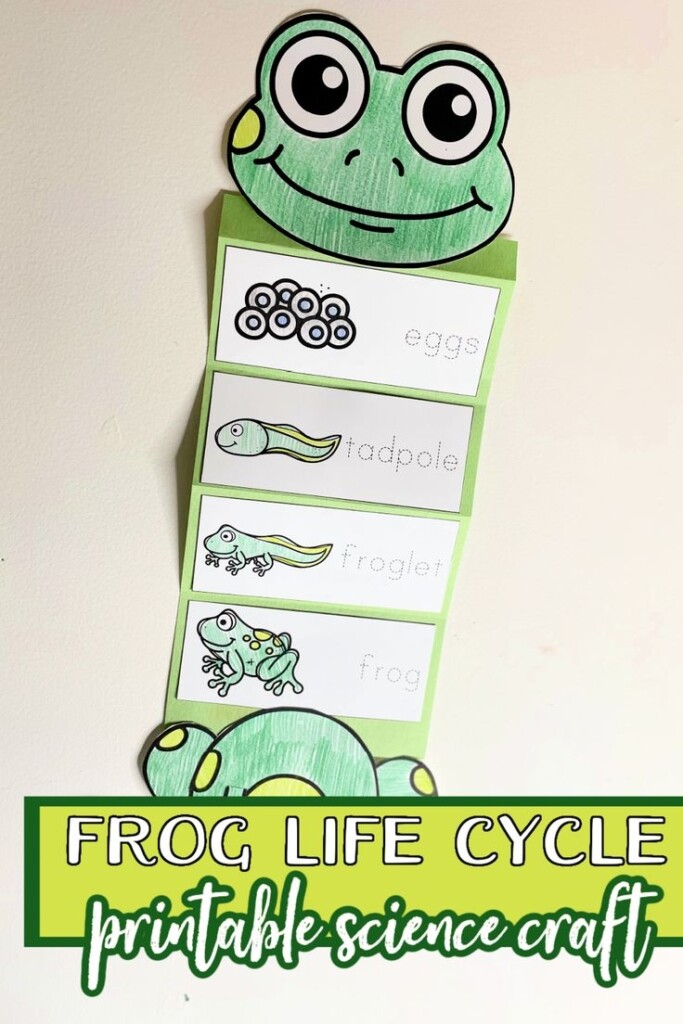 This Frog Life Cycle Craft Is Easy Enough For Any Age Add It To Your 